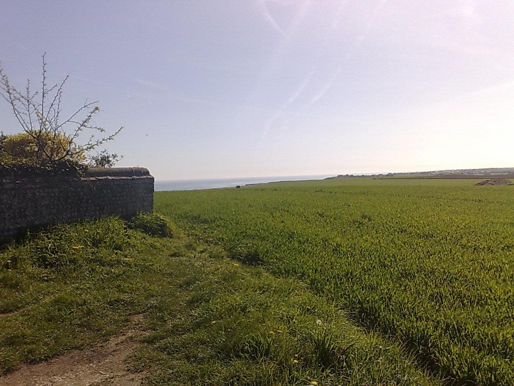Seaview Cottage Bacton  Buitenkant foto